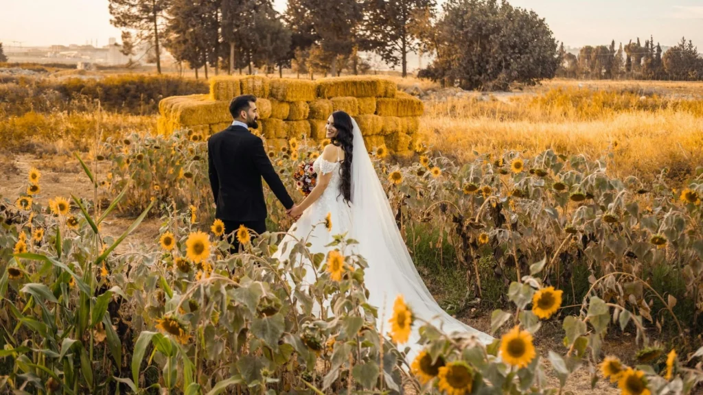 Novetats de Canserra.net: llançament de la nova web i avantatges per als hostes