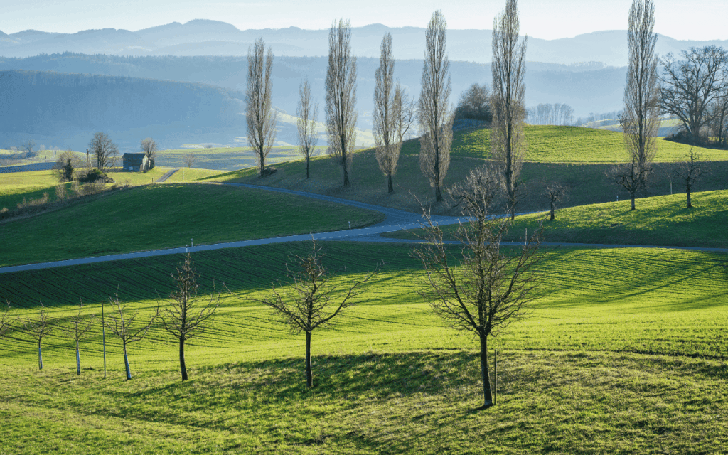 Casa rural envoltada de natura preparada per a esdeveniments